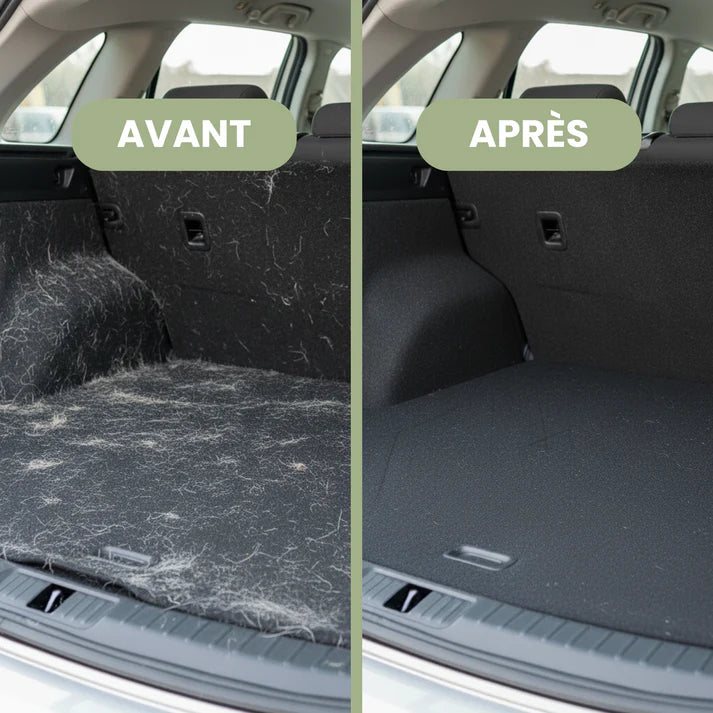 Gant et Brosse Anti-Poils