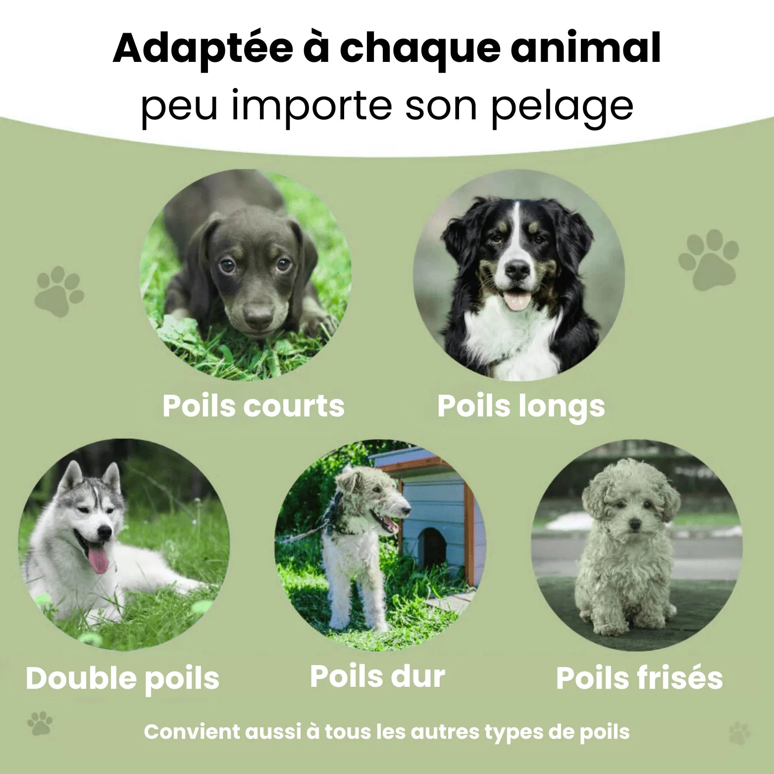 Gant et Brosse Anti-Poils