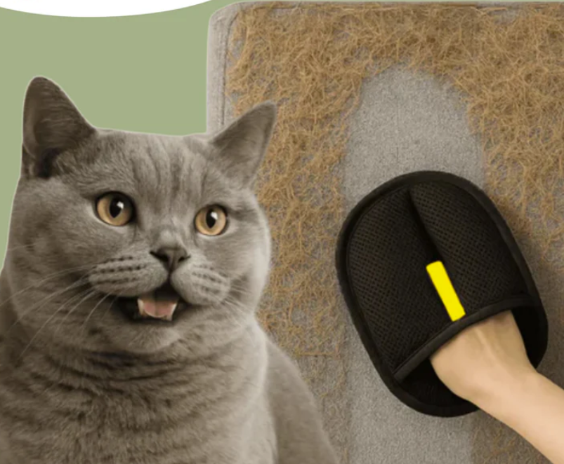 Gant et Brosse Anti-Poils