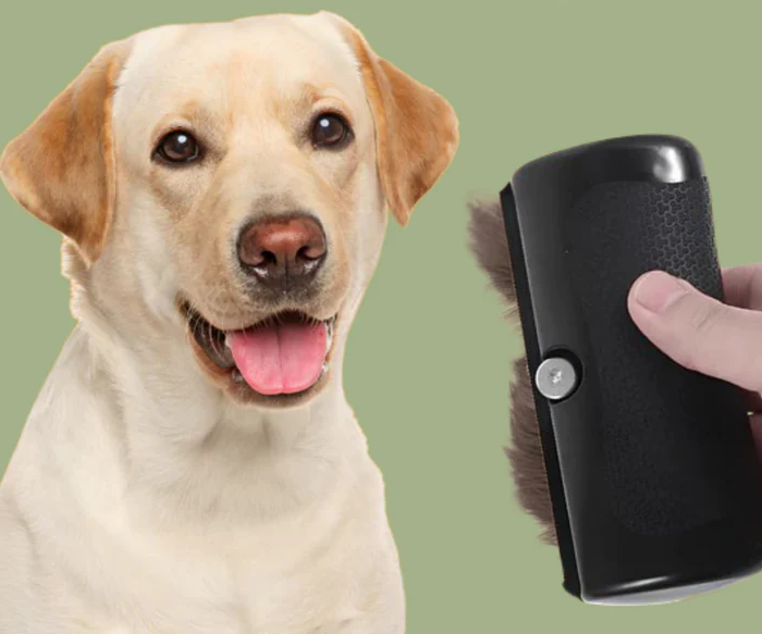 Gant et Brosse Anti-Poils